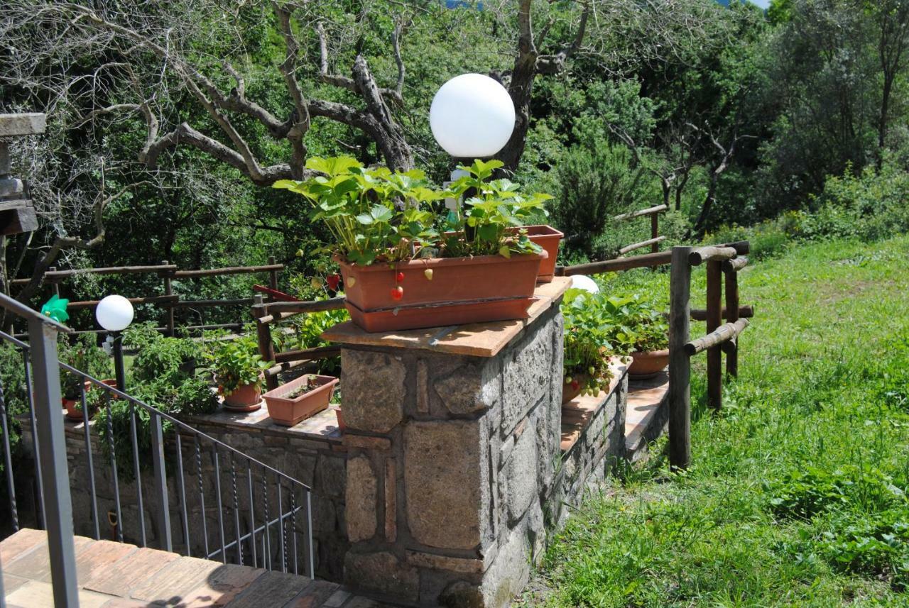 Villa Farfalla Bianca วิตอร์คิอาโน ภายนอก รูปภาพ
